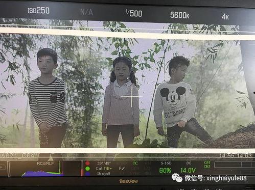 深圳网红被爆料视频曝光,揭秘网红背后的真实生活